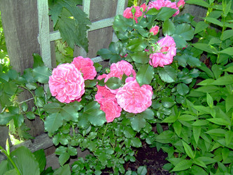 Similar image 21809625