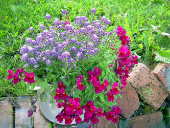 Similar image 21809628