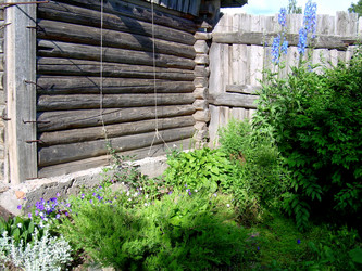 Similar image 21809630