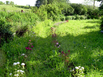 Similar image 21809633