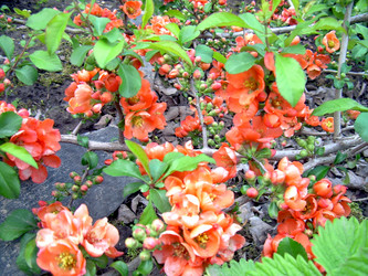 Similar image 21809638