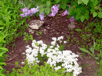 Similar image 21809642