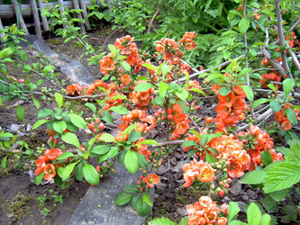 Similar image 21809644