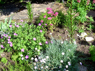 Similar image 21809646