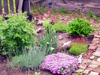 Similar image 21809647