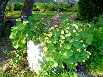 Similar image 21809650