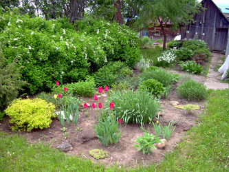 Similar image 21809652