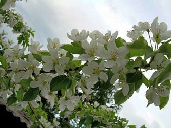 Similar image 21809654