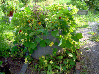 Similar image 21809655