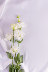 Similar image 21809105