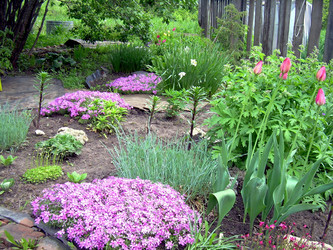 Similar image 21809656