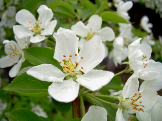 Similar image 21809658