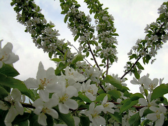 Similar image 21809660