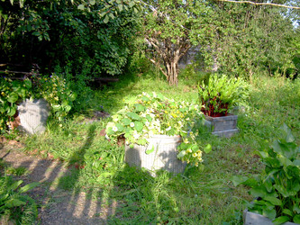 Similar image 21809661