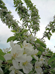 Similar image 21809662