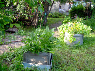 Similar image 21809663