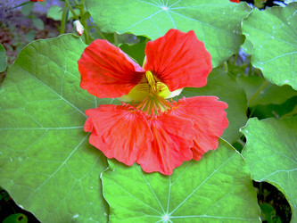 Similar image 21809671