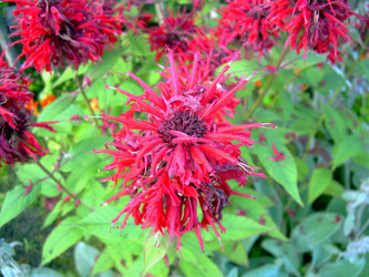 Similar image 21809672