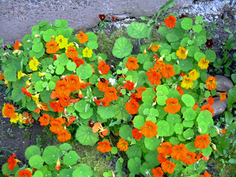 Similar image 21809675