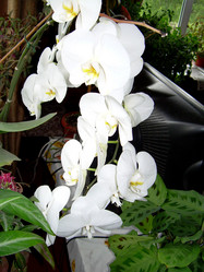 Similar image 21809676