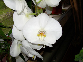 Similar image 21809677