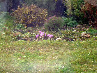 Similar image 21809678