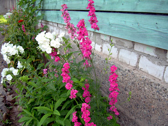 Similar image 21809681