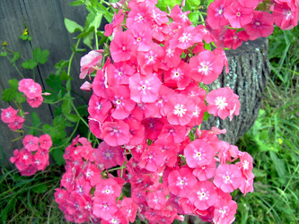 Similar image 21809682