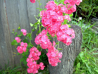 Similar image 21809683