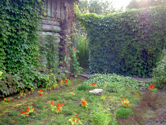 Similar image 21809762