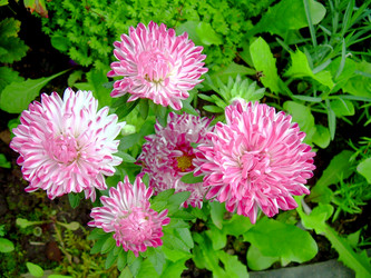 Similar image 21809763