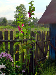 Similar image 21809765