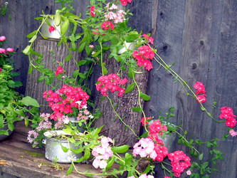 Similar image 21809766