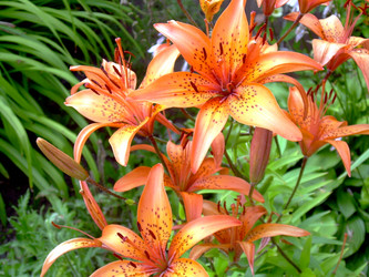 Similar image 21809769