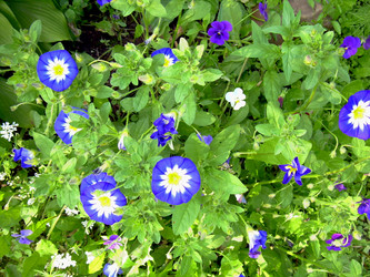 Similar image 21809771