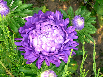 Similar image 21809772