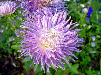 Similar image 21809773