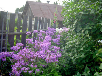 Similar image 21809775