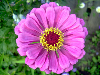 Similar image 21809776