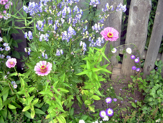 Similar image 21809777