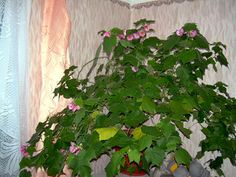 Similar image 21809778