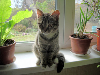 Similar image 21809779