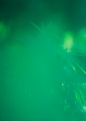 Similar image 21809785