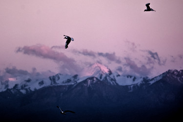 Similar image 21809793