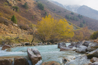 Similar image 21809800