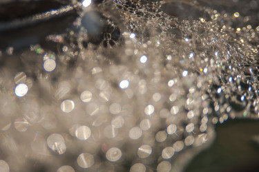 Similar image 21809802