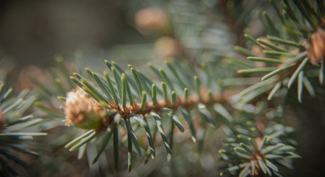 Similar image 21809813