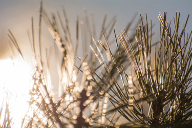 Similar image 21809814