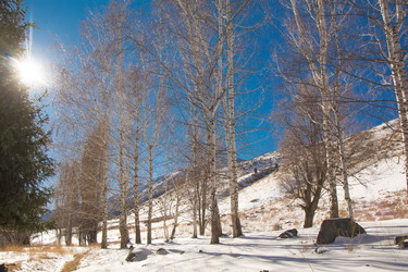 Similar image 21809815