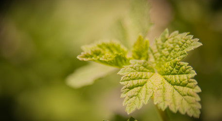 Similar image 21809816